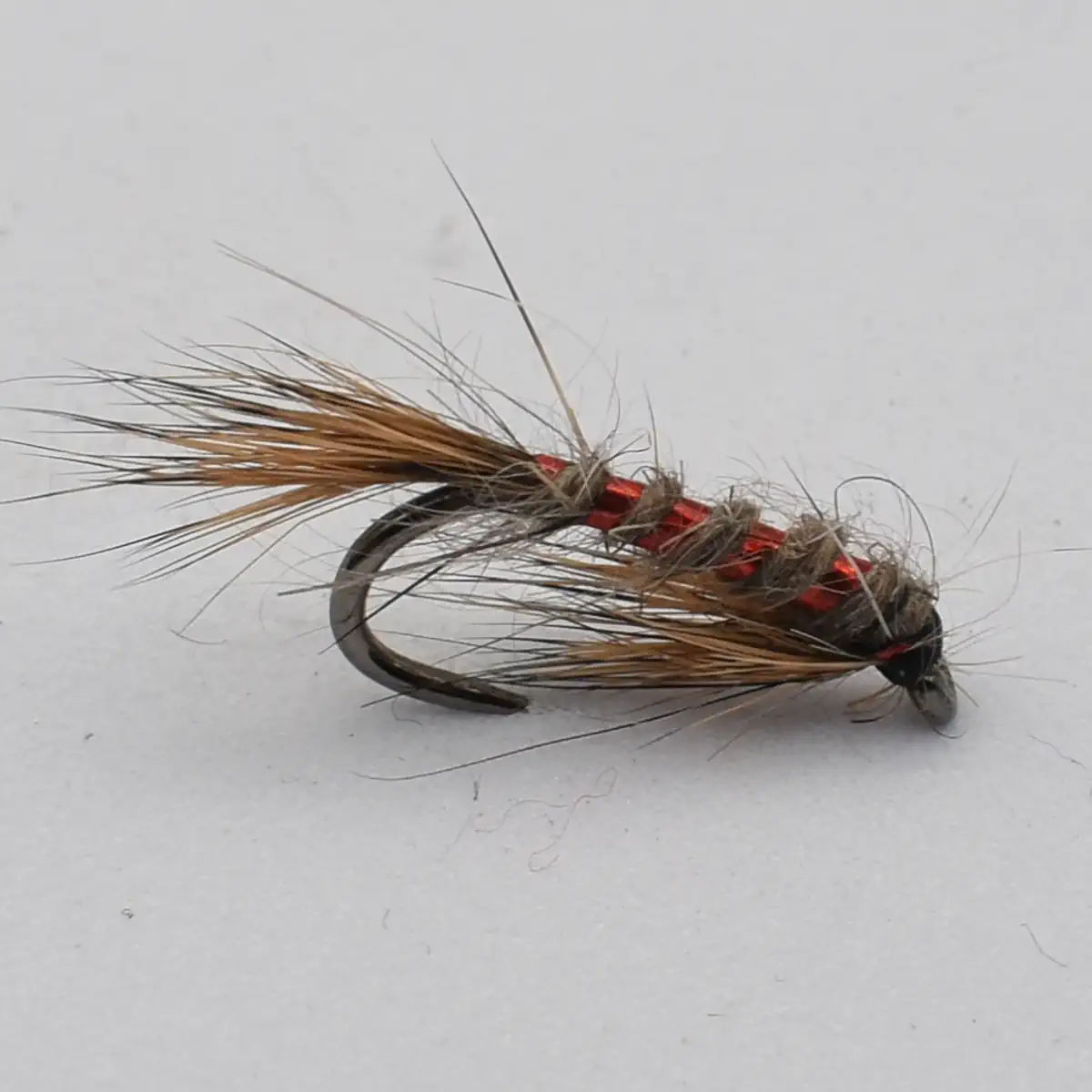 A close-up of a fishing fly with brown hackle and red ribbing tied to a curved hook, used as bait for trout fishing.