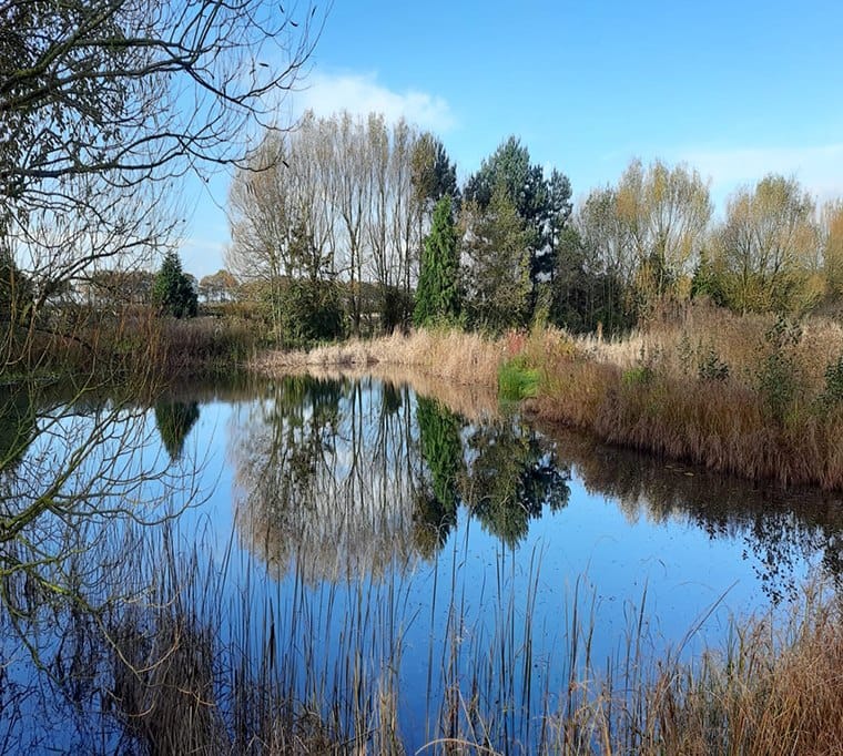 Mere Beck Trout Fishery433