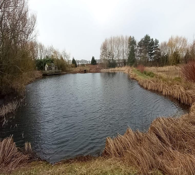 Mere Beck Trout Fishery434