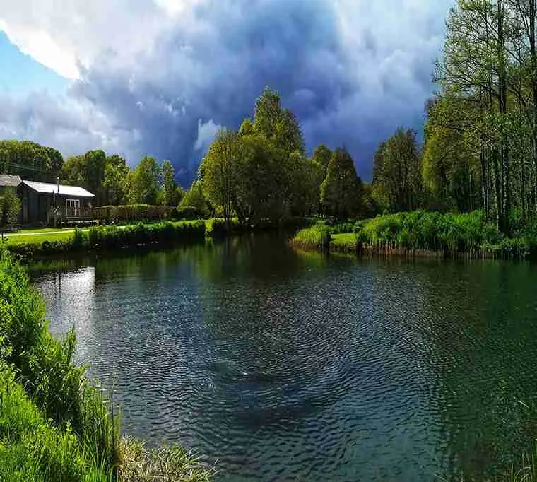 Rockbourne-Trout-Fishery525