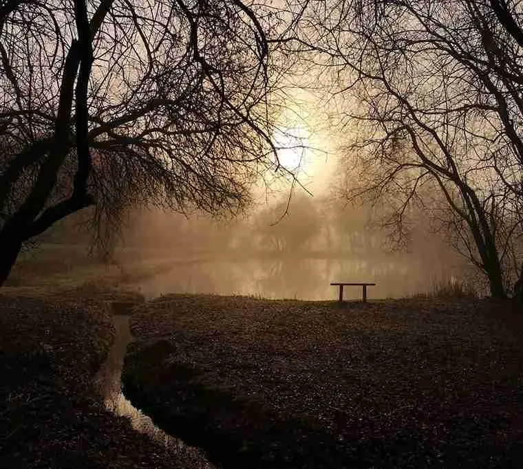 Rockbourne-Trout-Fishery527
