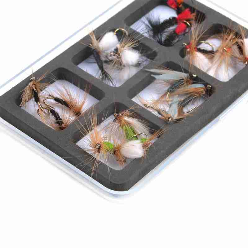 2Pcs WX 6comp Box - Image 3