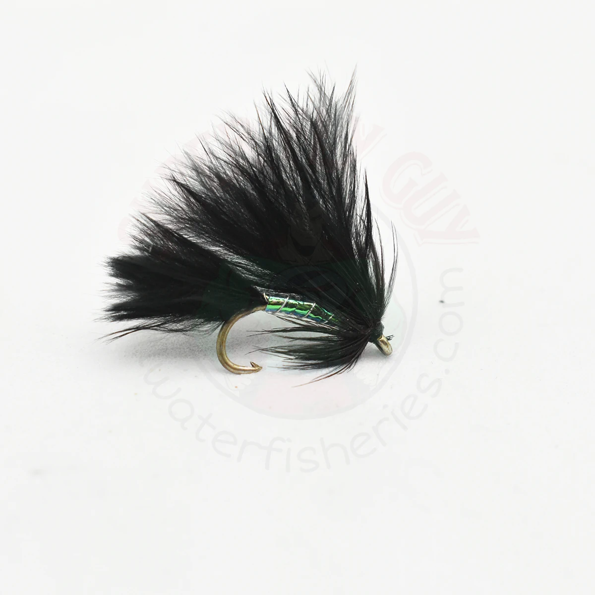 Black Death Cormorant