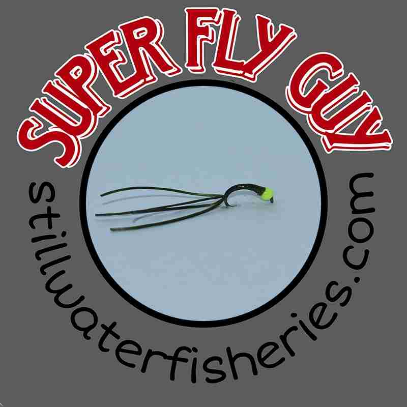 Cat Bug - Olive Flexi - Image 2