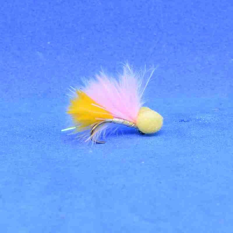 Candy Booby - Sunburst - Image 2