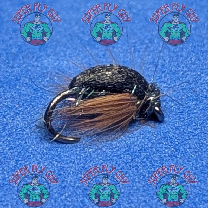 Coo Dung Beetle - Image 2