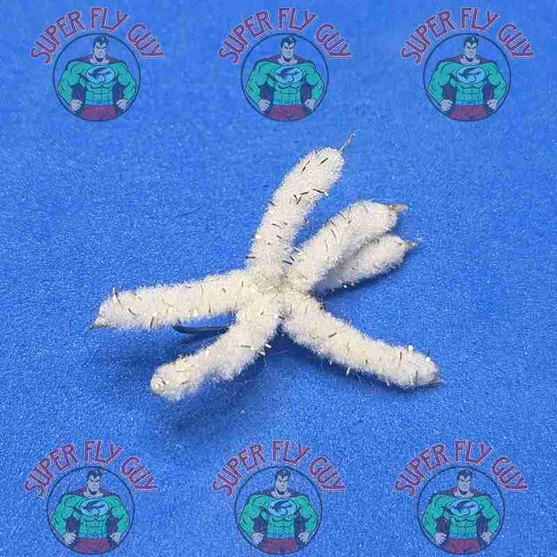 Maggot Cluster Fly - Image 2