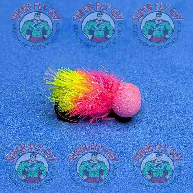 A Dozen Two Tone Tequilla Boobies