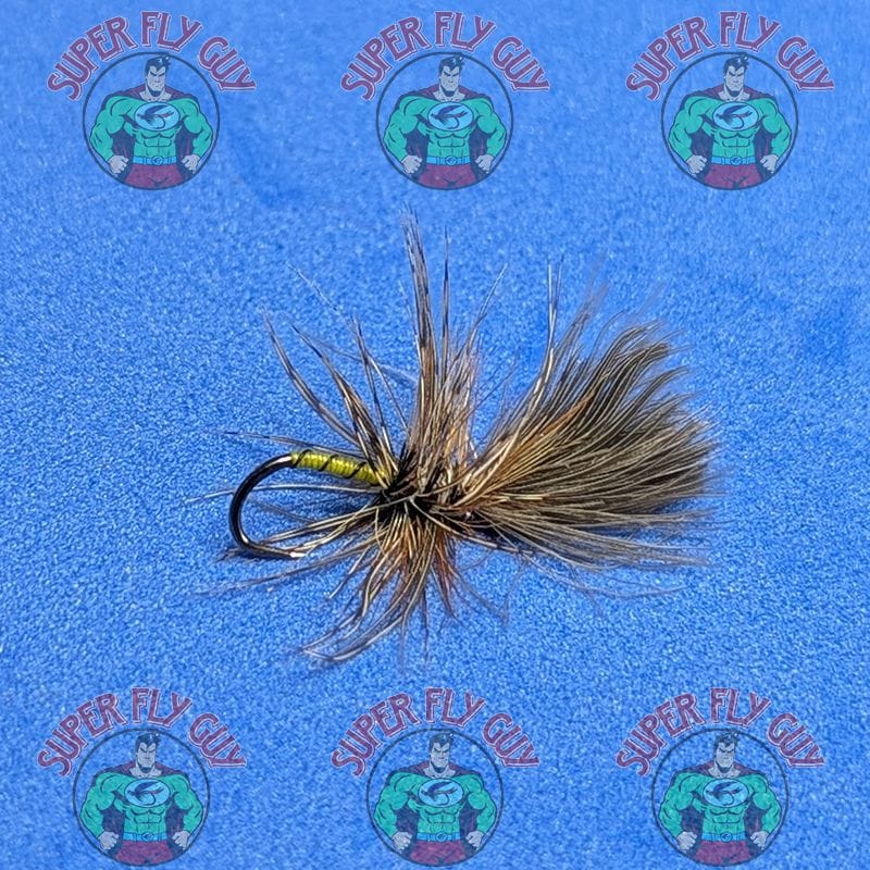 A Dozen Yellow Owl Grunters - Dark CDC