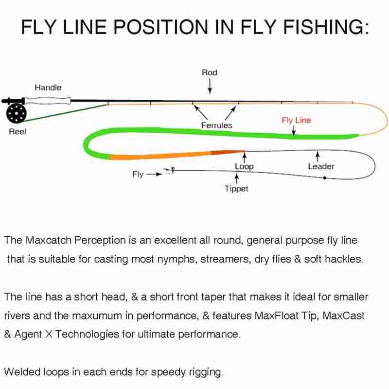Perception Floating Line (UK Stock) - Image 2