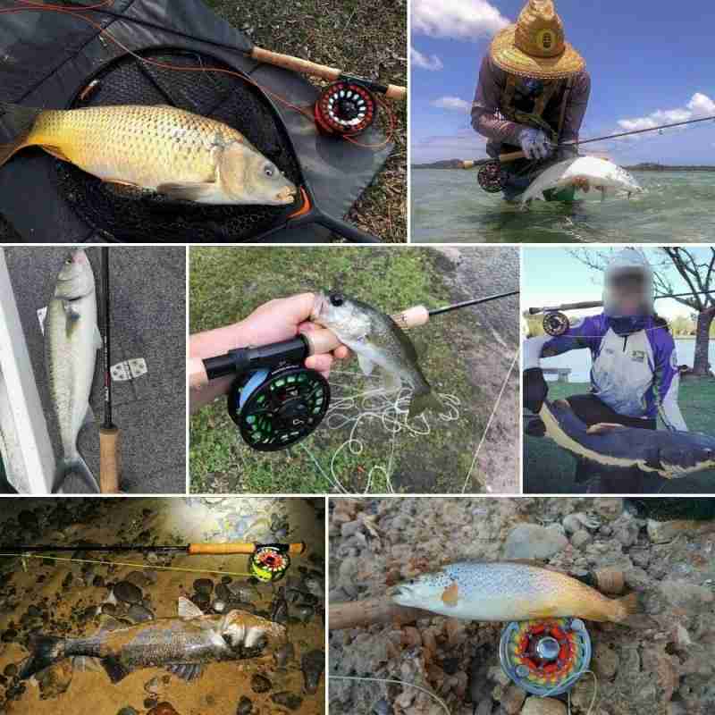 SaltPro Saltwater Rod - Image 2