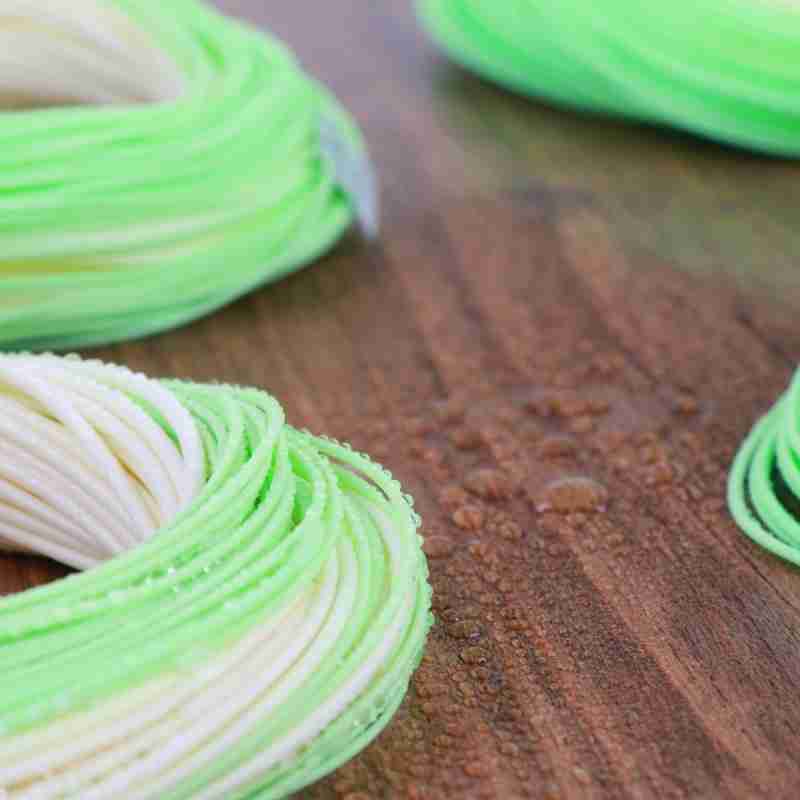 Switch Fly Line - Image 7