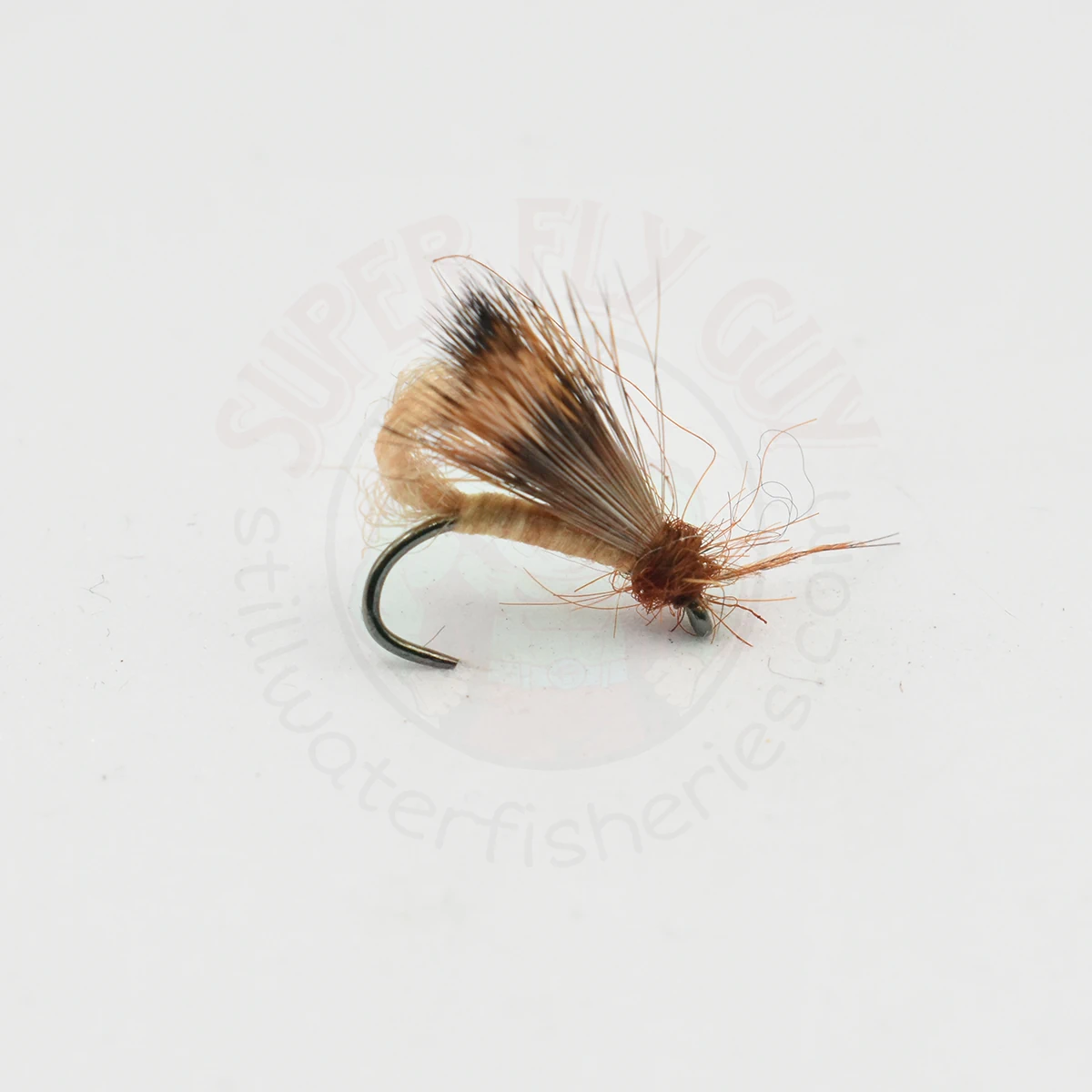 Cinnamon Bubble Wing