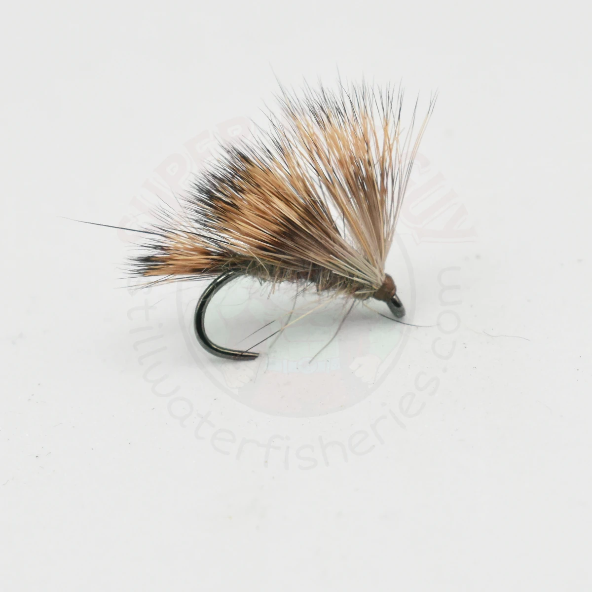 Hares Ear Soft Sedgehog