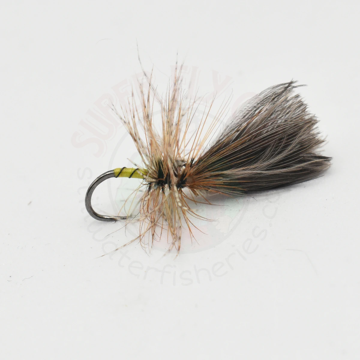 Yellow Owl Grunter - Dark CDC