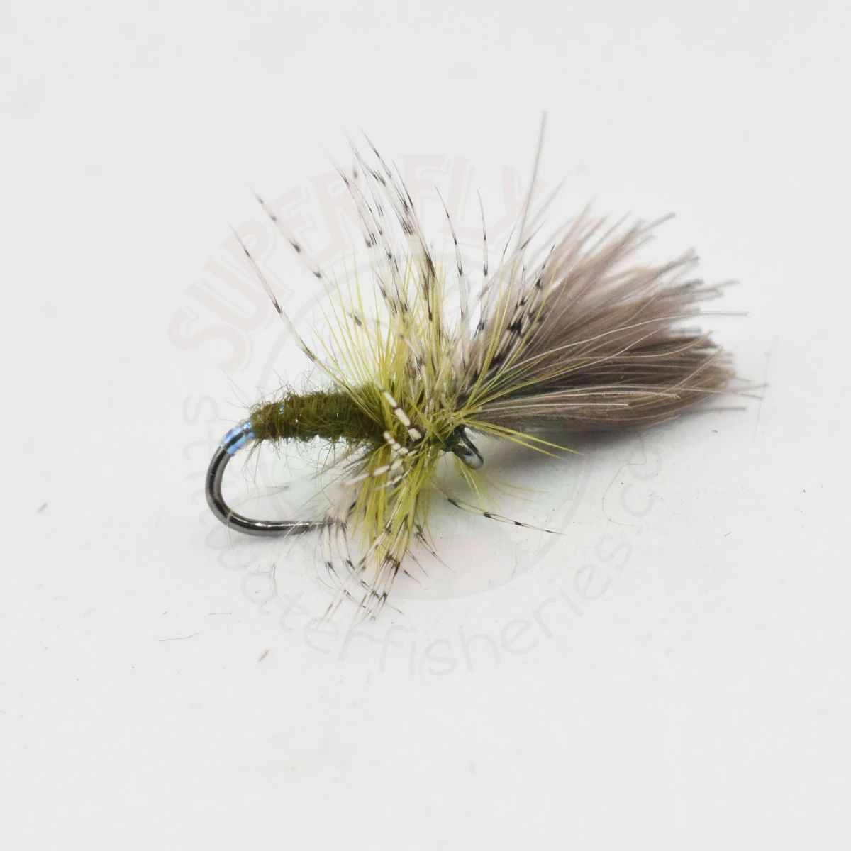 Olive Grunter - Dark CDC