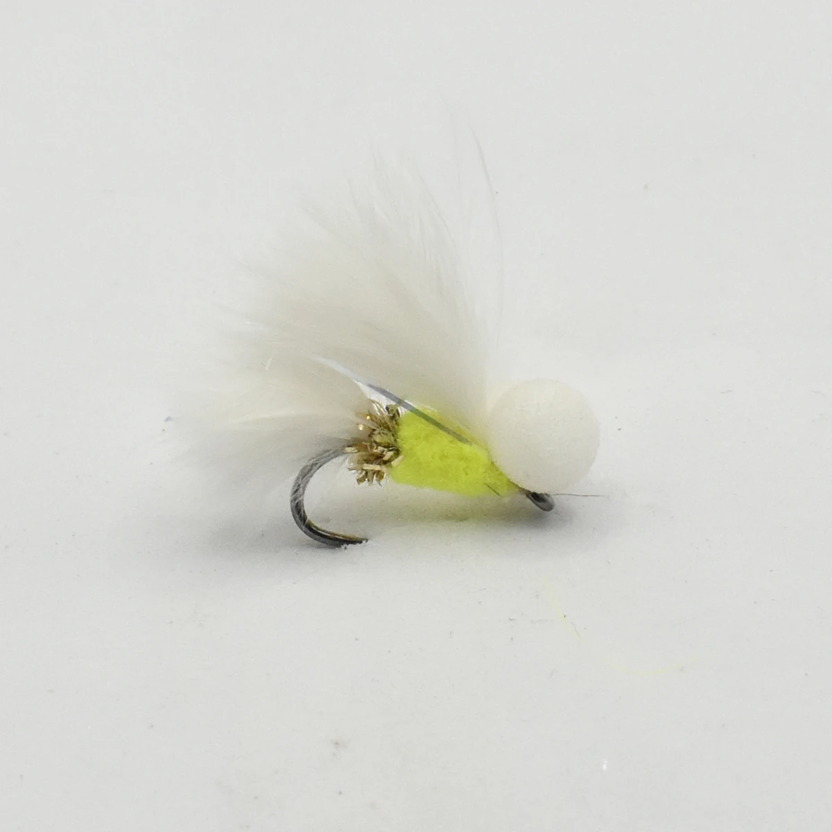 Gold Arsed Cat Booby