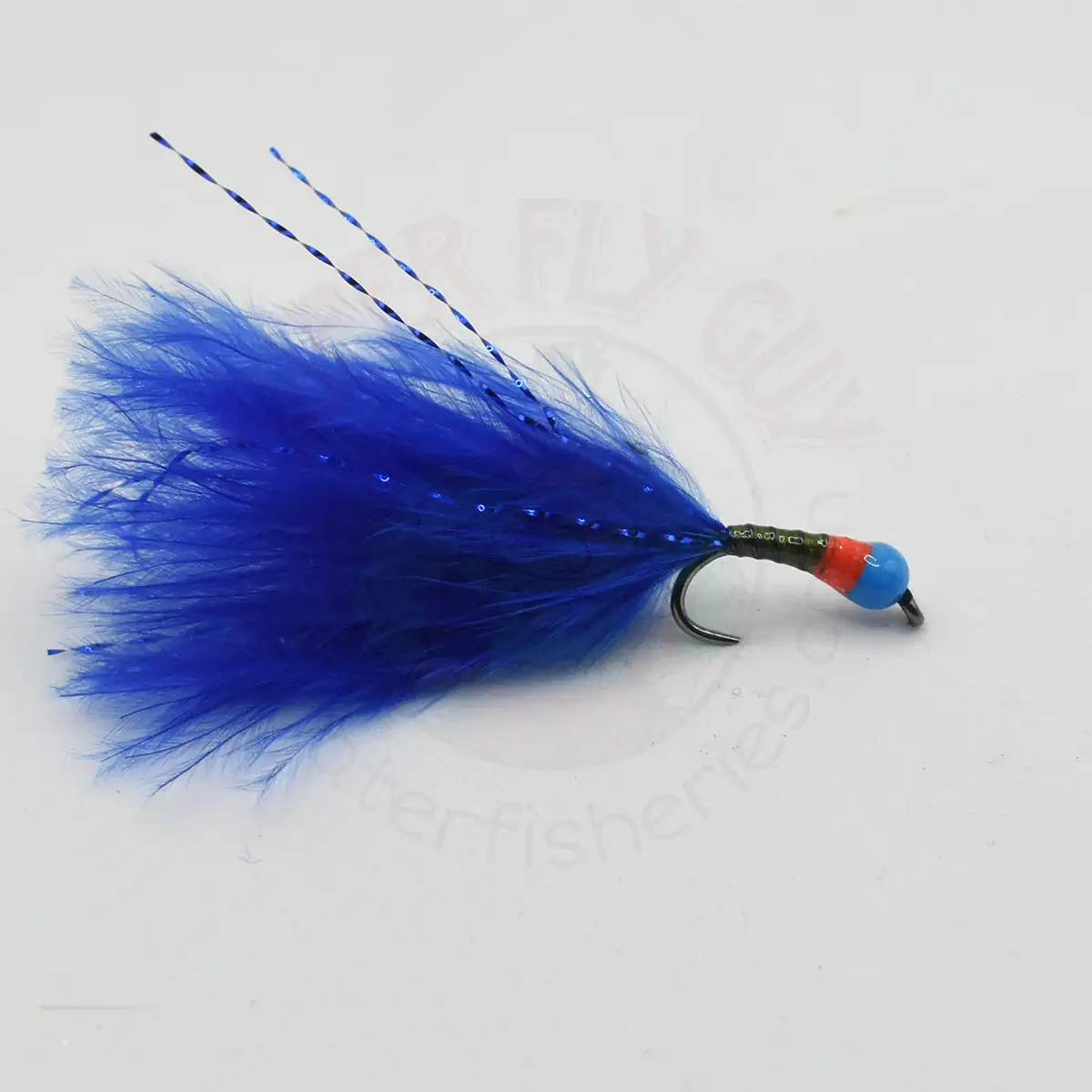 Cat Bug - Olive Walter