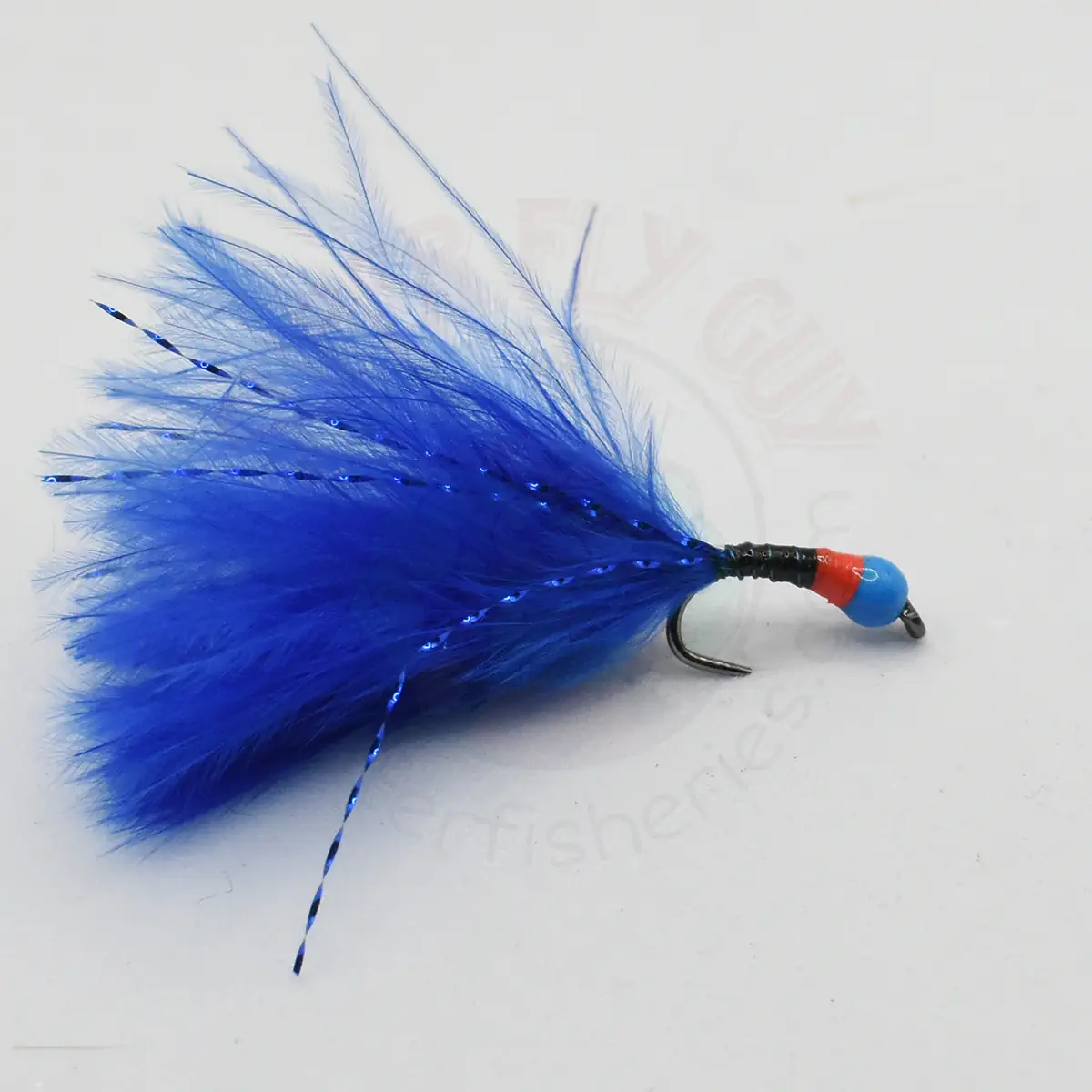 Cat Bug - Black Walter