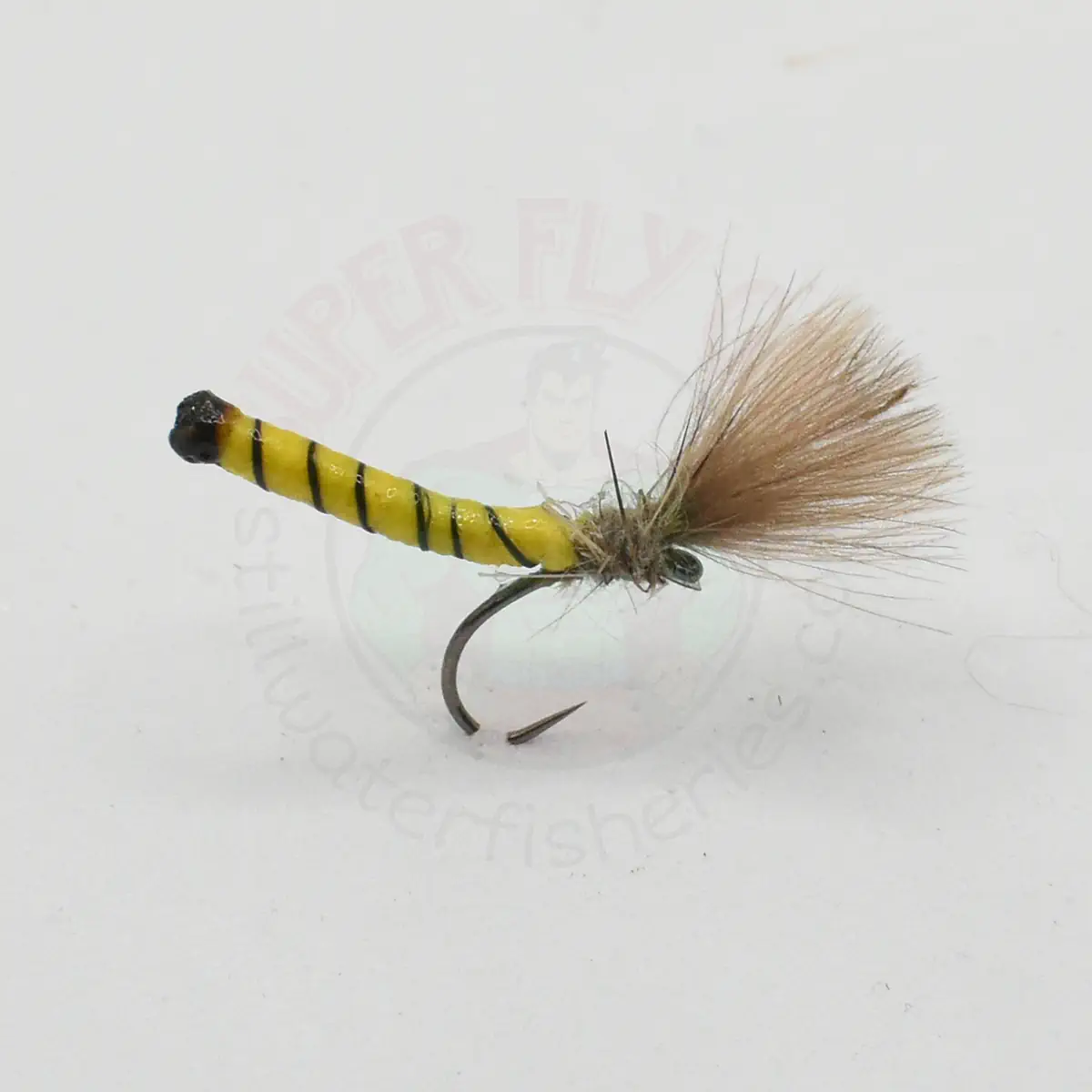 Detached Body Yellow Owl