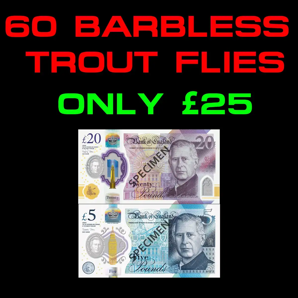 60 Flies for £25
