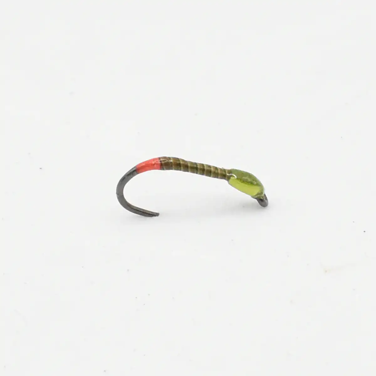 Olive Quilled Red Arsed Buzzer