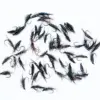Assorted black fishing flies with colorful bead heads and feather tails scattered on a white background.