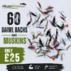 Stillwaterfisheries promo banner advertising 60 Daiwl Bachs and Muskins for £25, with a display of colorful fishing flies on the right.