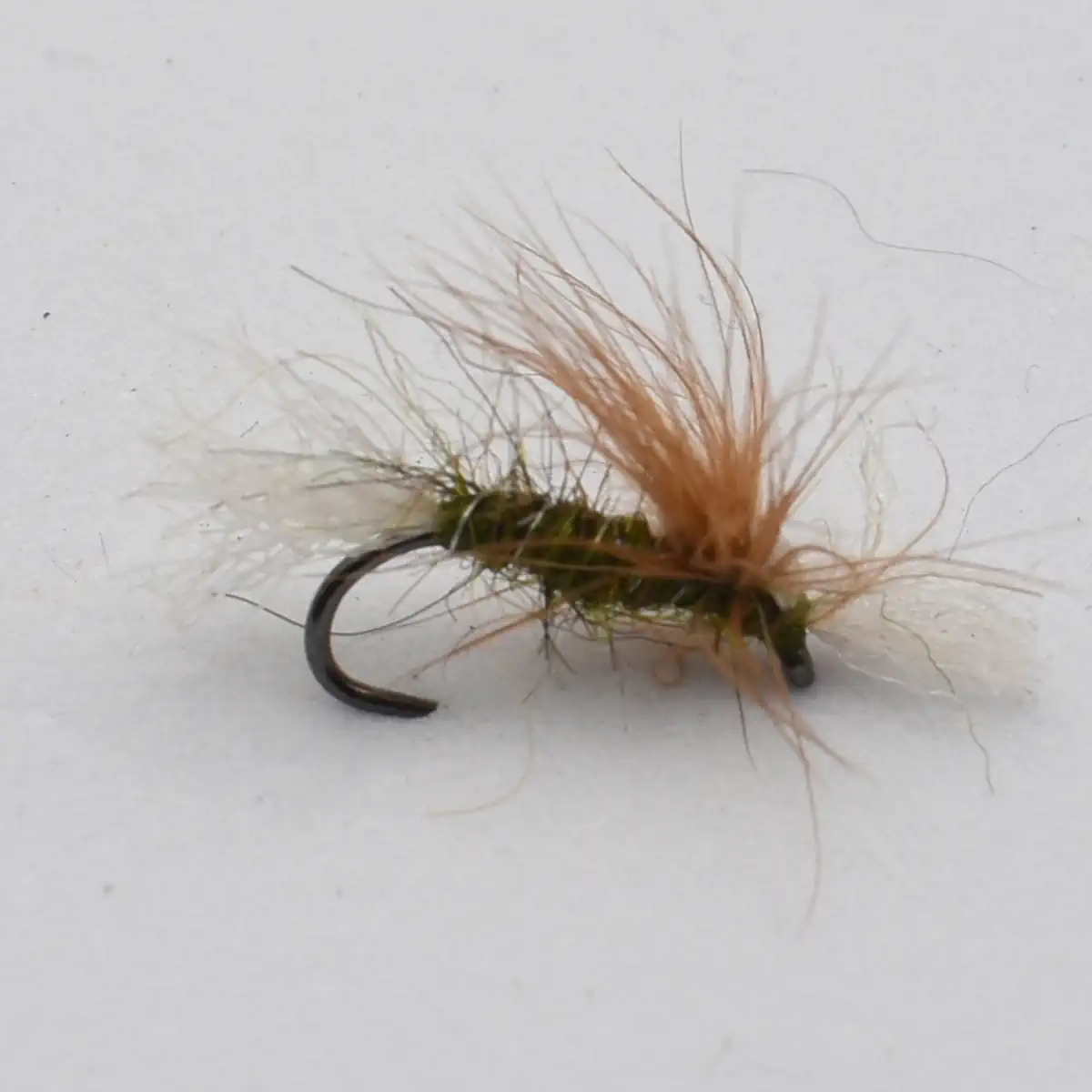 Fishing fly lure with an olive body and orange fuzzy hackle wrapped around a curved hook.