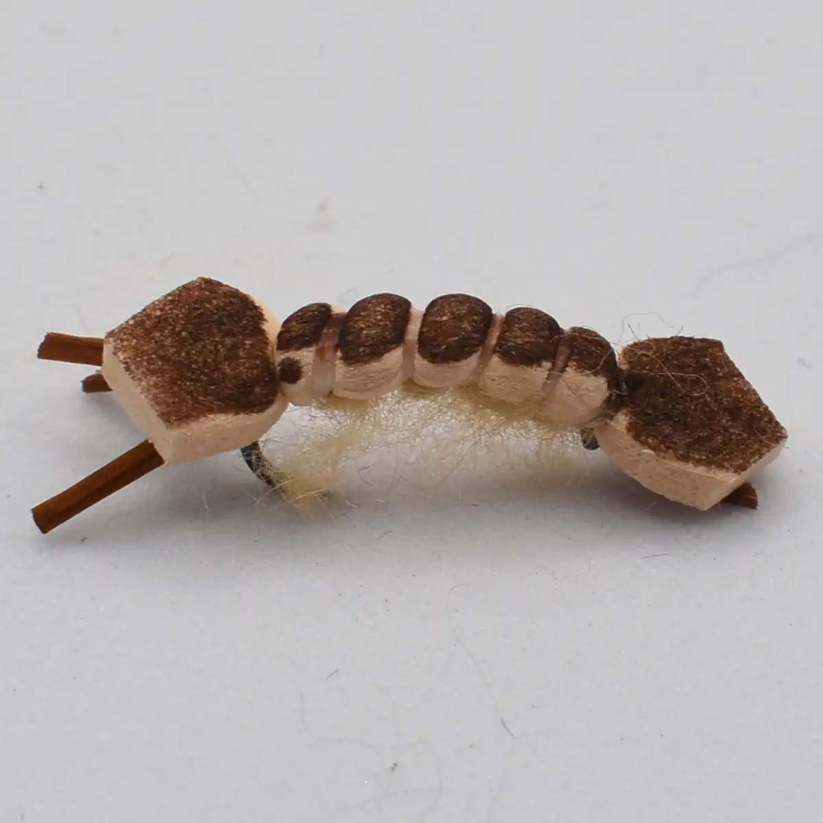 Close-up of a beige segmented worm-like model with brown tips, skewered between two thin sticks.