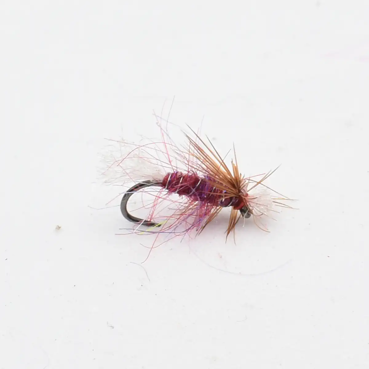 Red-and-purple fishing fly with brown feather hackle tied to a curved hook on a white background; used for fly fishing.