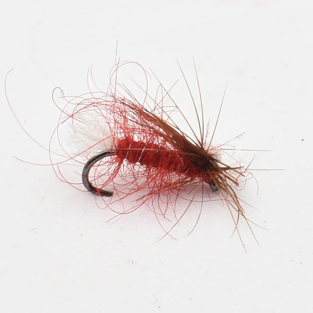Red woolly fishing fly with red hackle on a curved hook, used as a lure in fly fishing