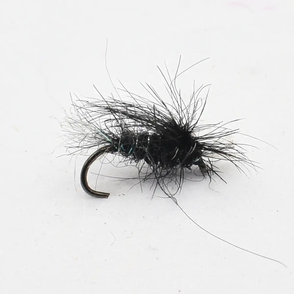 Black, hairy fishing fly with a curved hook, used as a lure in fly fishing