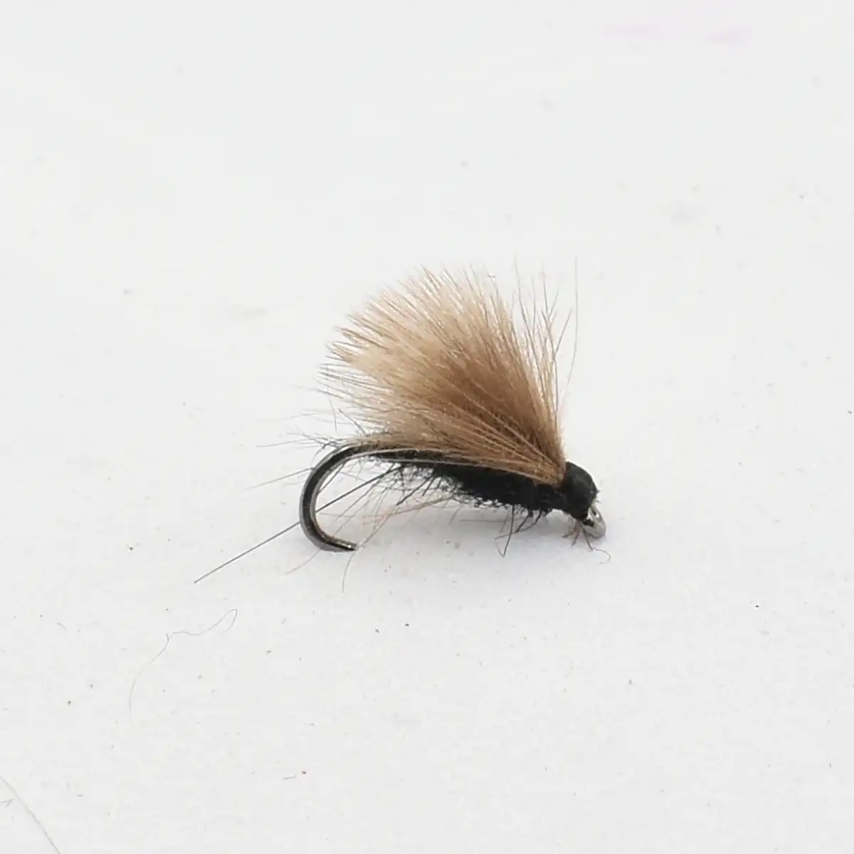 A tan, fluffy fishing fly with a black body on a small curved hook, used for fly fishing.