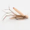 Brown feathered fishing fly with a beige foam body on a curved hook, used in fly fishing.