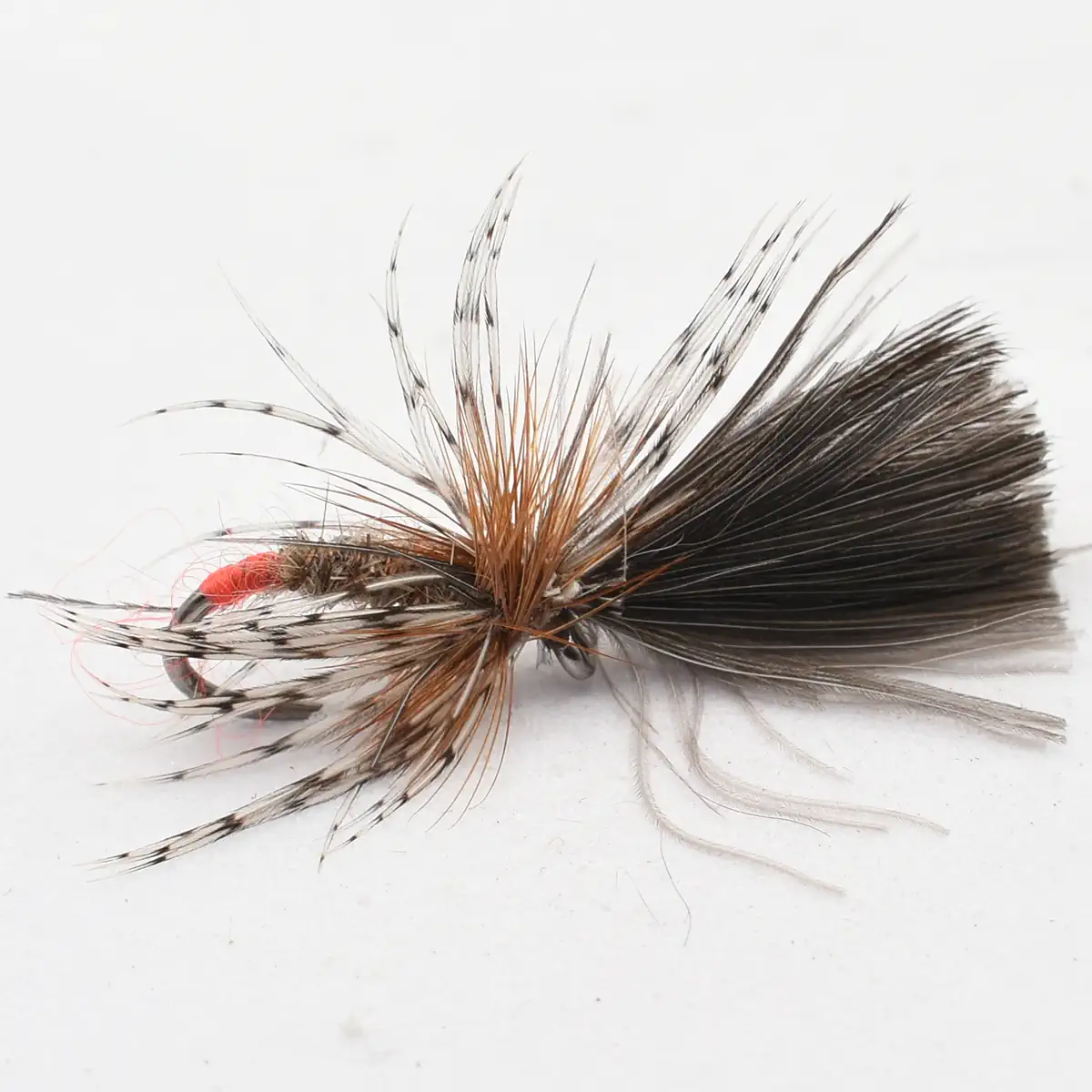 Artificial fly fishing lure with brown and white feather hackle and red thread, designed to imitate prey in fly fishing