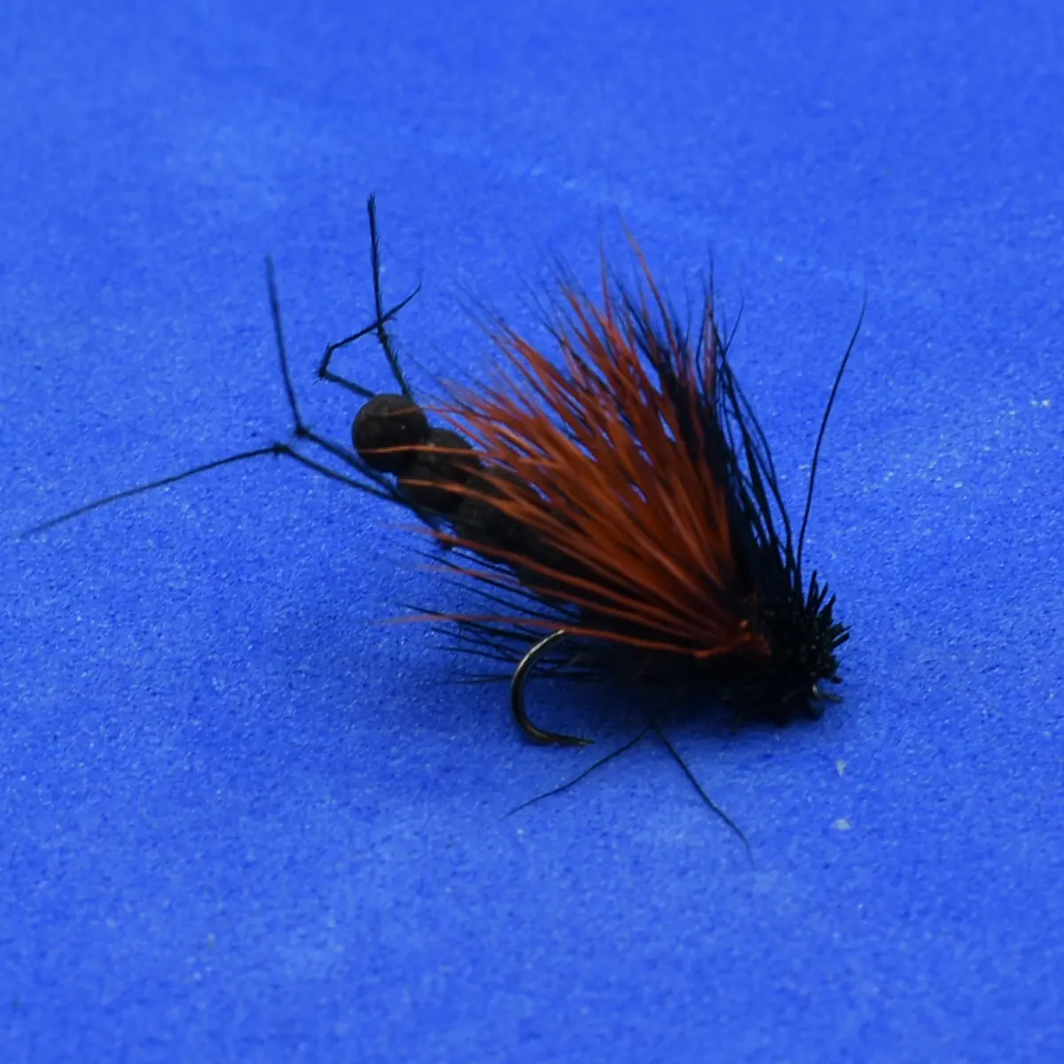 Close-up of a black fishing fly with orange hackle feathers on a blue background, showing the hook and body detail.