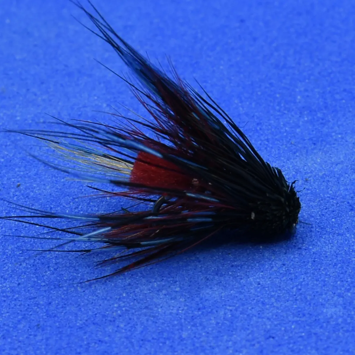 Close-up of a fishing fly lure with a red body and black feathered hackle on a blue background mainly used for fly fishing the fish.
