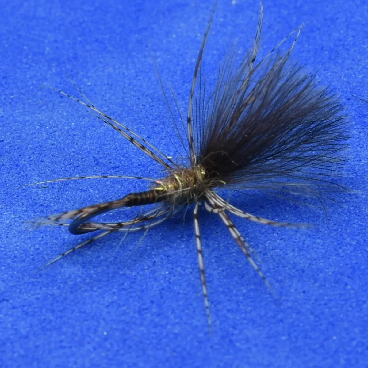 Dark, fluffy fly fishing lure with black hackle and striped body on a blue background, used for trout fishing.