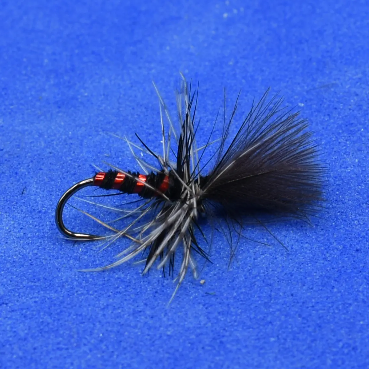 Close-up of a black-and-gray hackled fishing fly with orange ribbing on a curved hook, set against a blue background.