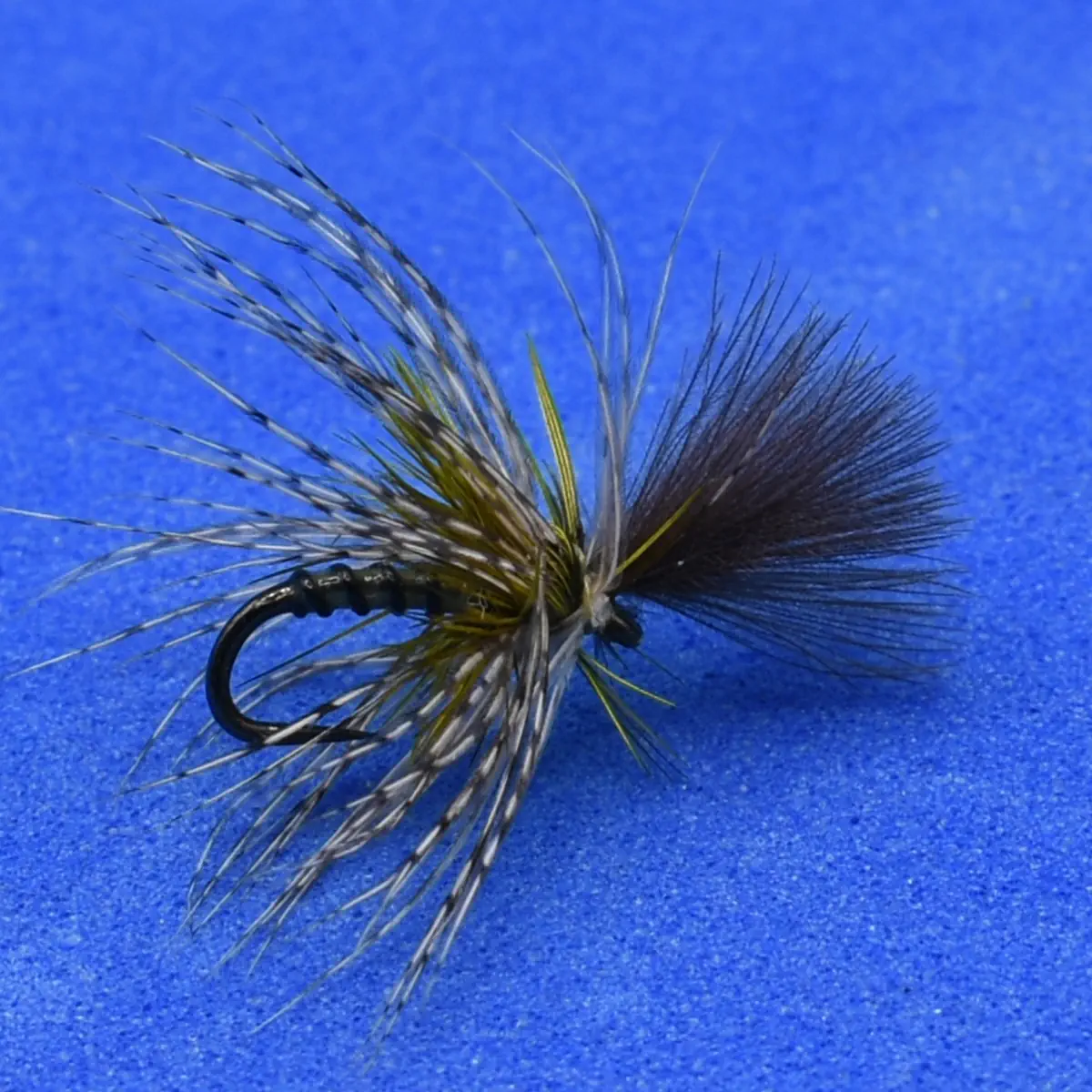 Artificial fly fishing lure with gray-black hackle and yellow accents on a blue background.