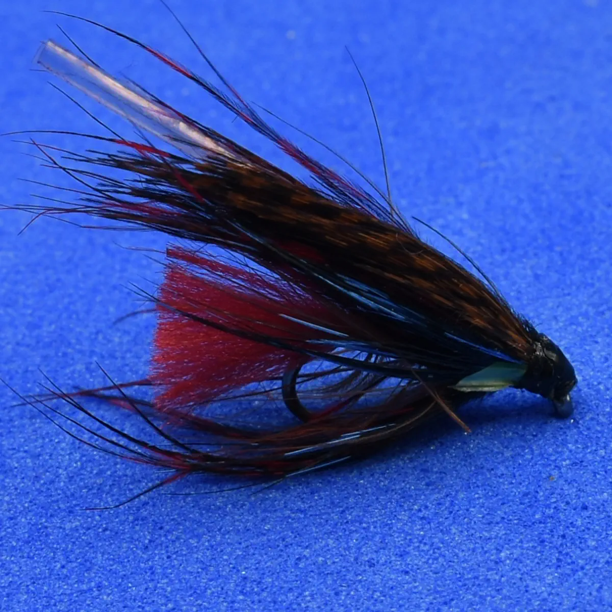Close-up of a fishing fly with a red tail and dark brown/black feathers on a blue background, used for fly fishing