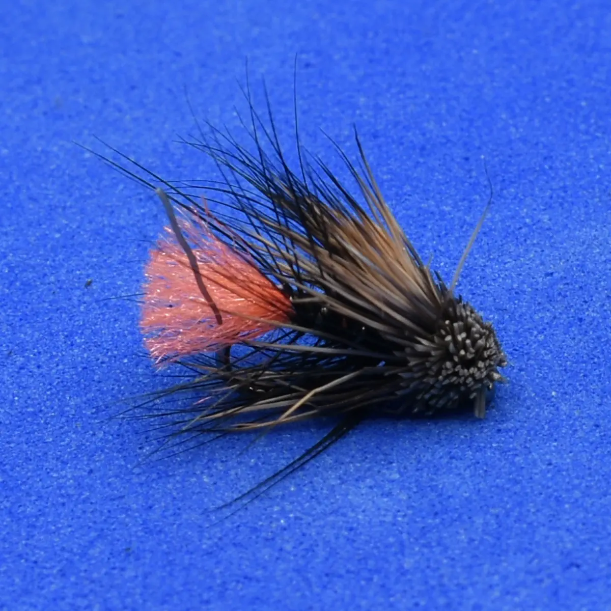 Close-up of a black-and-brown fishing fly with an orange tail on a blue background.
