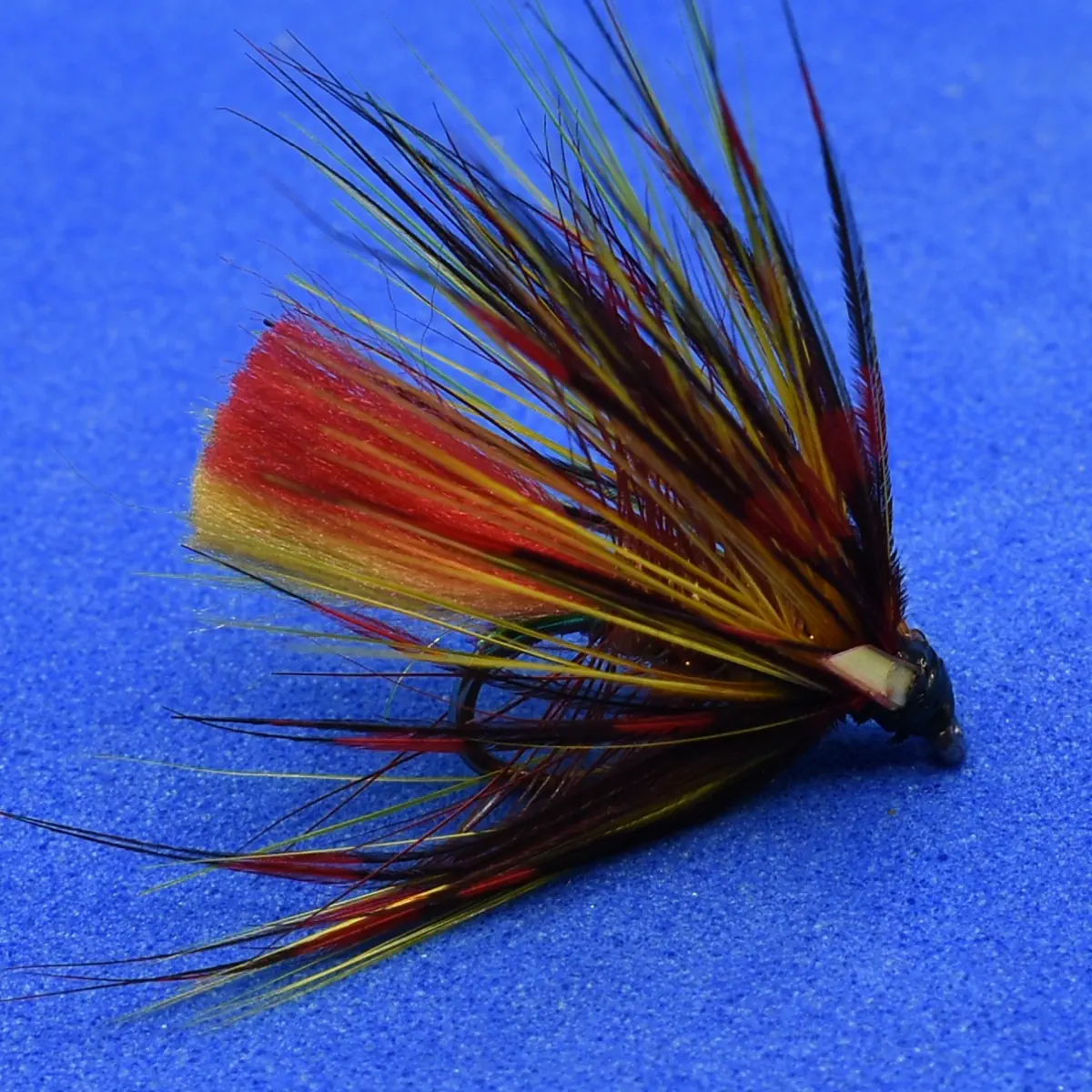 Colorful fishing fly with red and yellow feathers on a small hook against a blue background.