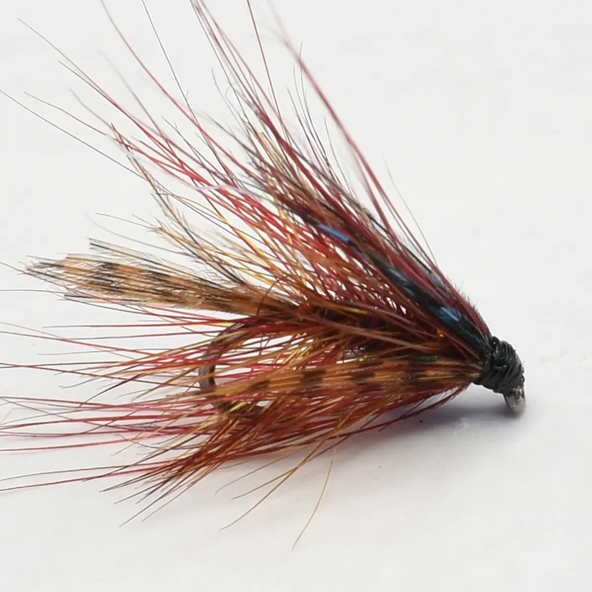 Close-up of a colorful fishing fly with brown and red hackle tied around a small hook, used for fly fishing
