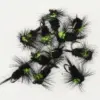 Assorted black and neon green fishing flies with long black hackle feathers and hooks, arranged on a white background.