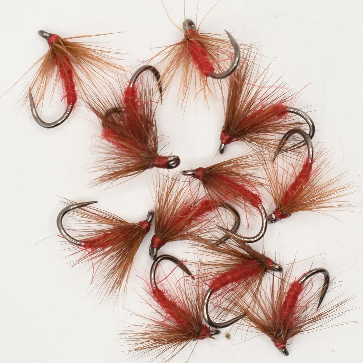 Assorted red hackle fishing flies with brown feather tails on a white background