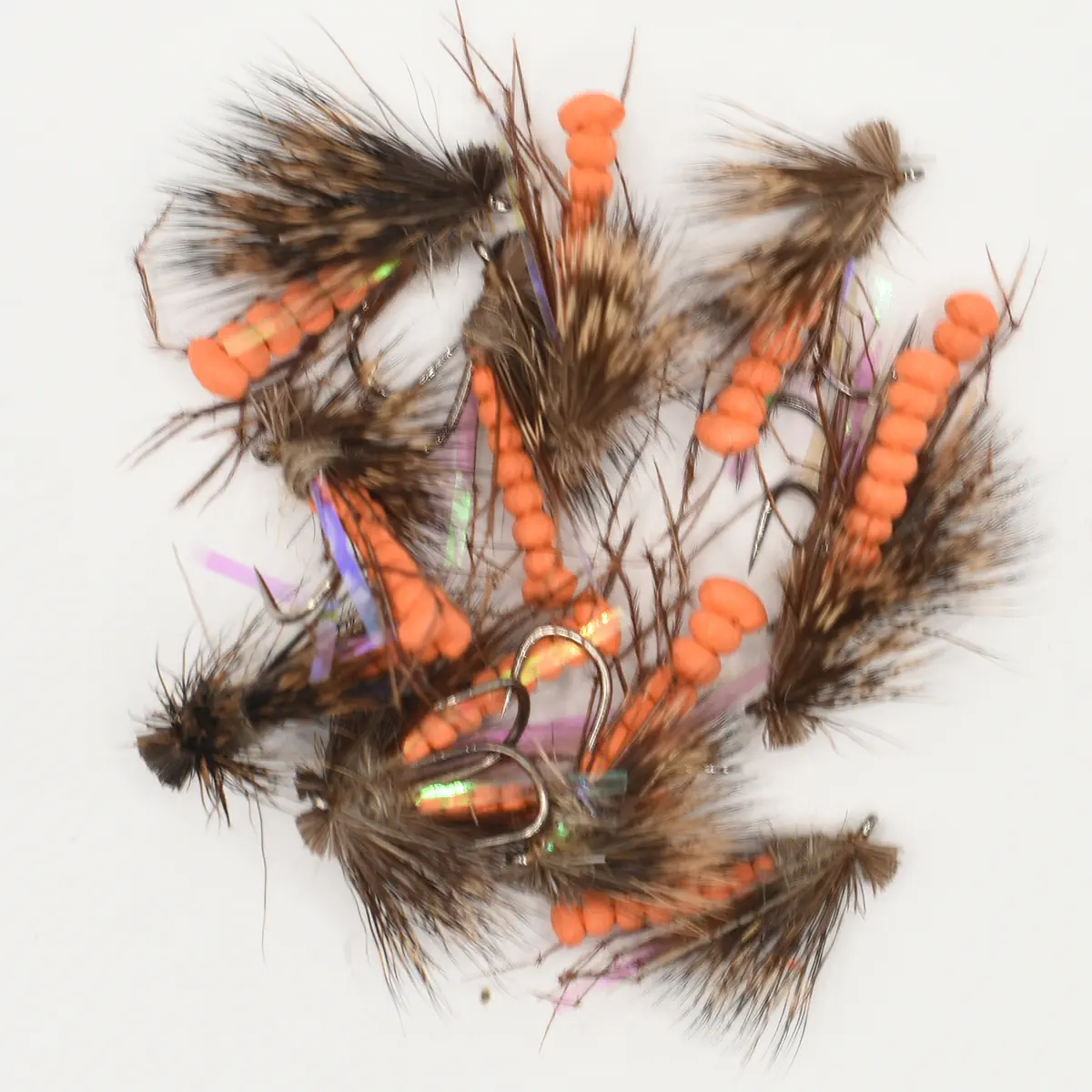A Dozen Orange UV Daddy Hogs