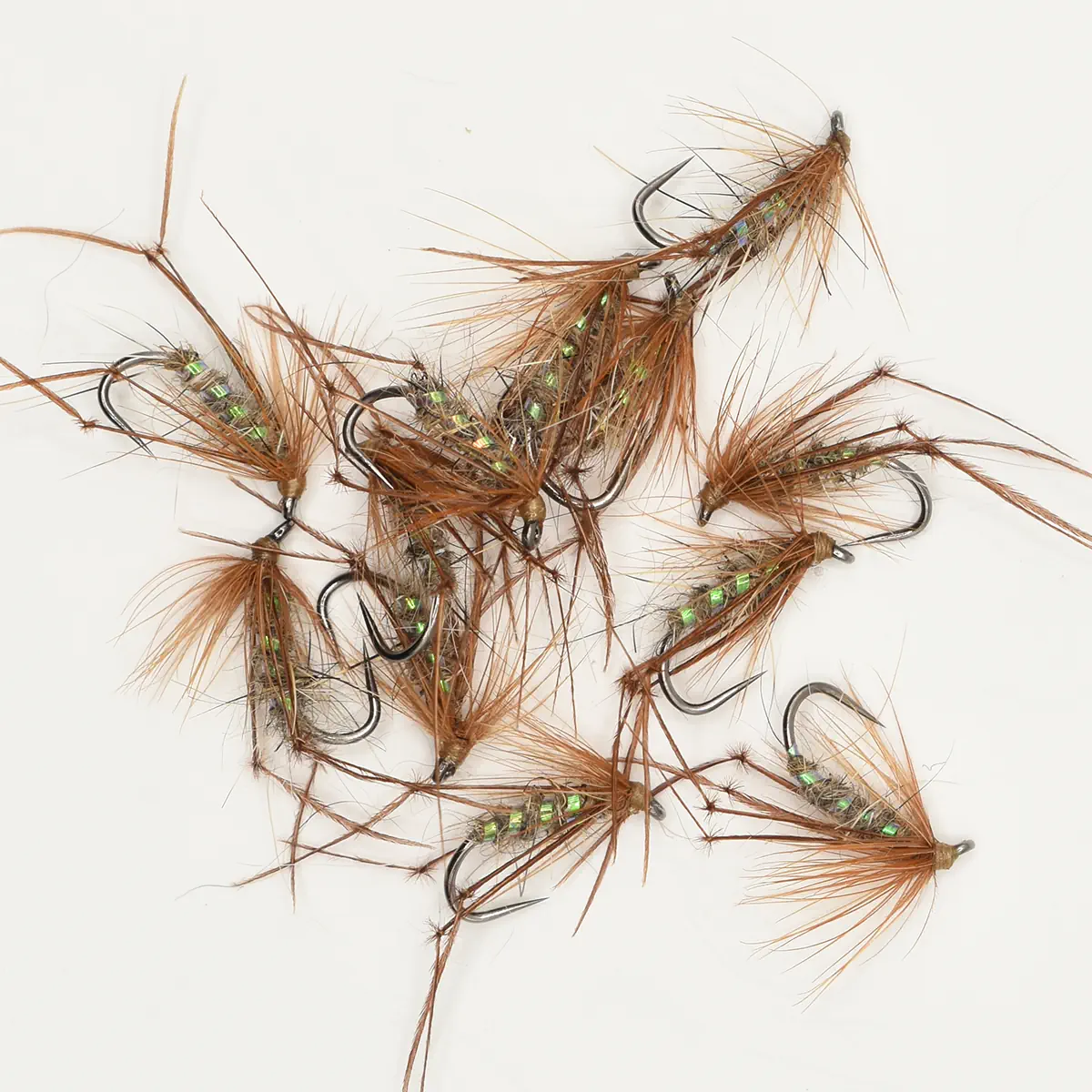 A Dozen Hares Ear Hoppers