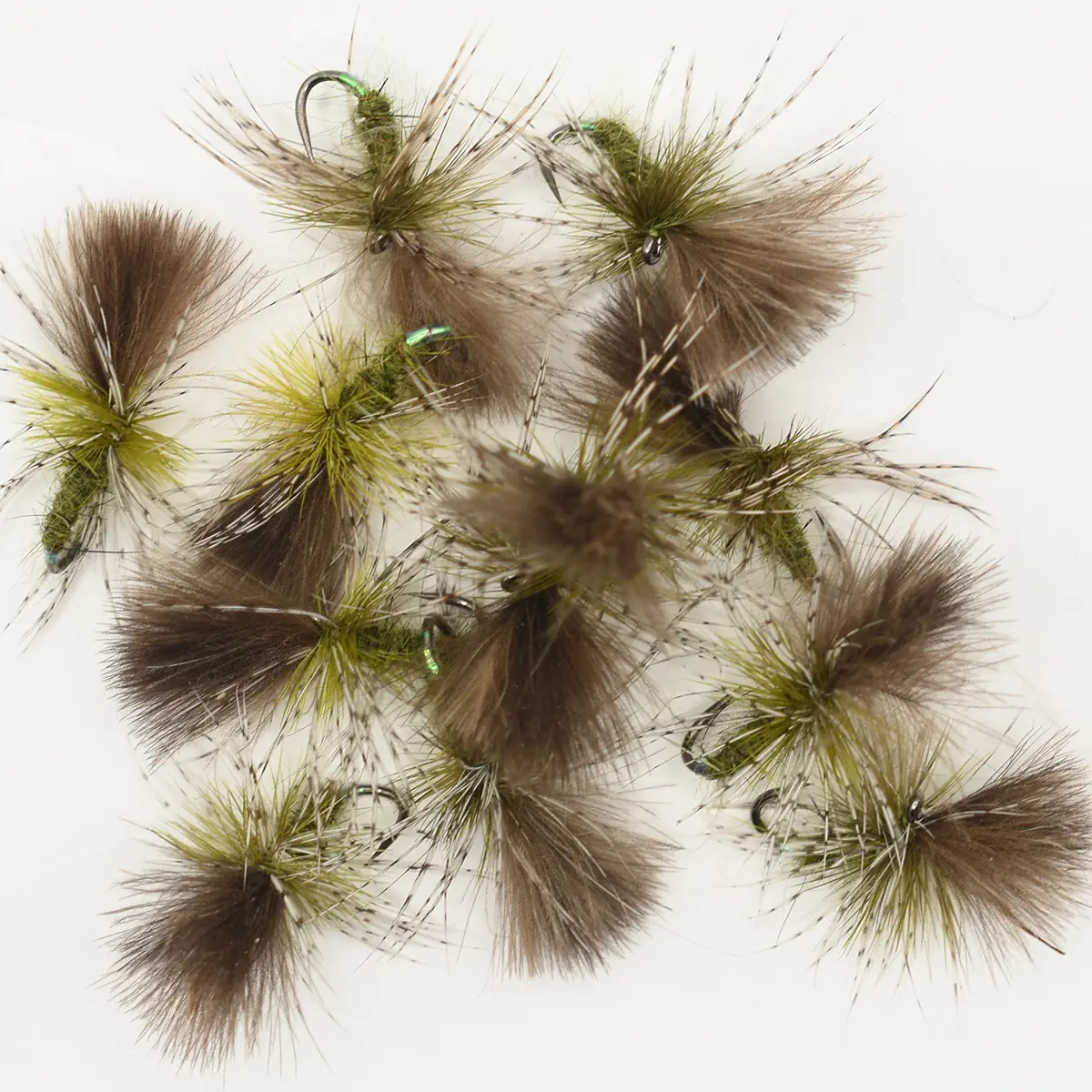 A Dozen Medium Olive Grunters